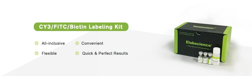 Elabscience Labeling Kits