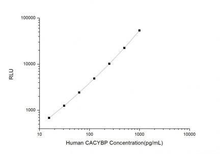 Standard Curve for Human CACYBP (Calcyclin Binding Protein) CLIA Kit - Elabscience E-CL-H0476